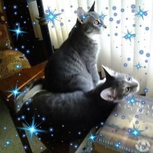 Meet your Posher, Kathi